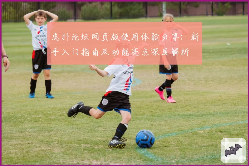 虎扑论坛网页版使用体验分享：新手入门指南及功能亮点深度解析